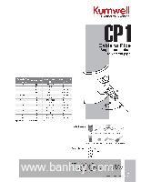 Khuôn hàn hóa nhiệt CP1