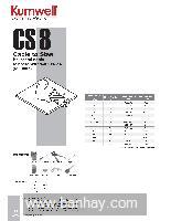 Khuôn hàn hóa nhiệt CS8